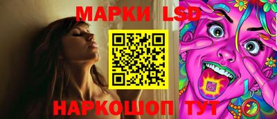 mdpv Гатчина