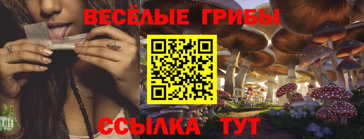 Псилоцибиновые грибы Psilocybine cubensis Лабытнанги